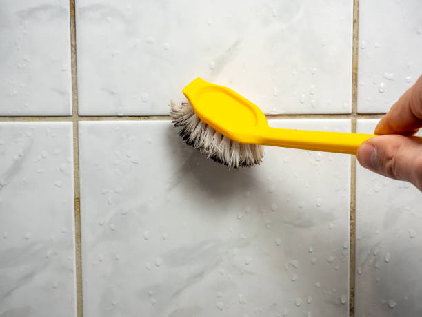 Best Mold Testing  in Madison, AL