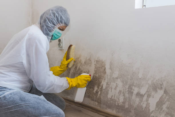 Best Crawl Space Mold Removal  in Madison, AL