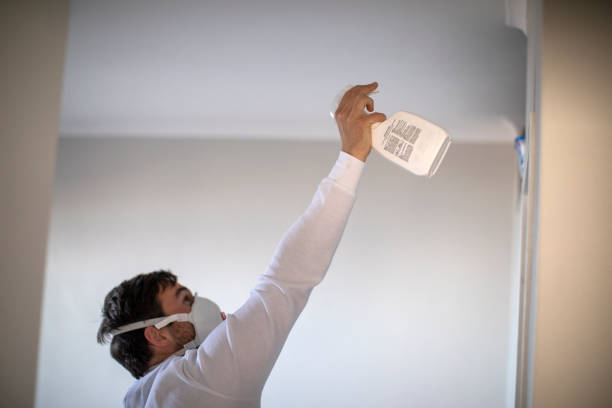Best Mold Damage Repair  in Madison, AL